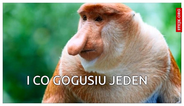 I co Gogusiu jeden