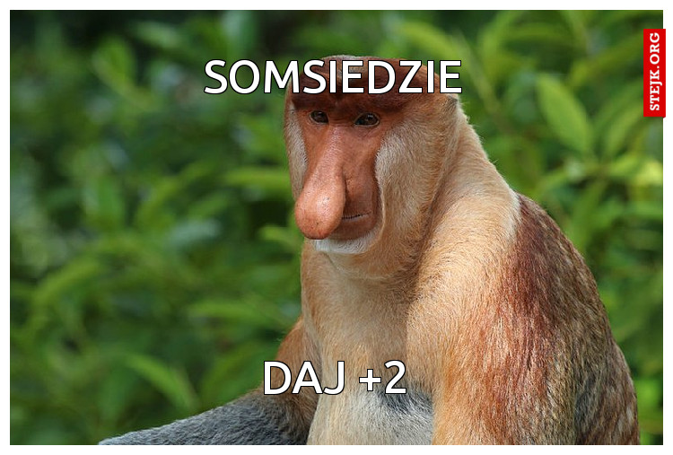 somsiad gerrit