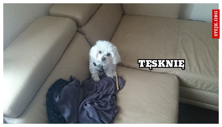 Tęsknię 