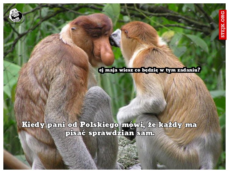 Kiedy pani od Polskiego mówi, że każdy ma pisać sprawdzian sam.