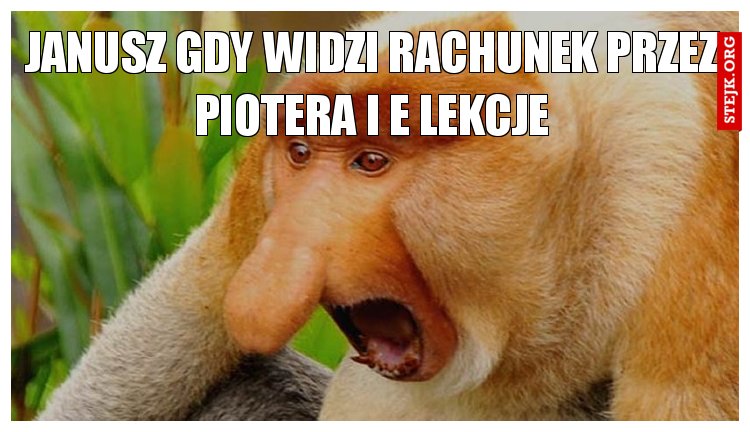 janusz gdy widzi rachunek przez piotera i e lekcje