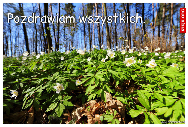 Pozdrawiam wszystkich.