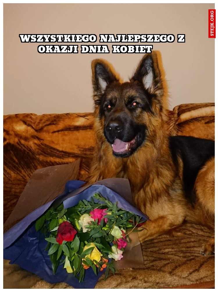 Wszystkiego najlepszego z okazji Dnia Kobiet ❤❤❤❤❤