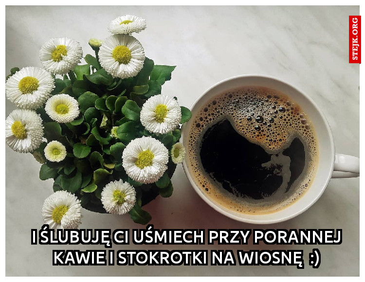 I ślubuję Ci uśmiech przy porannej kawie i stokrotki na wiosnę  :)