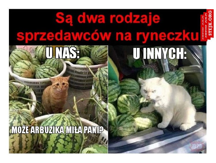 MOŻE ARBUZIKA MIŁA PANI?