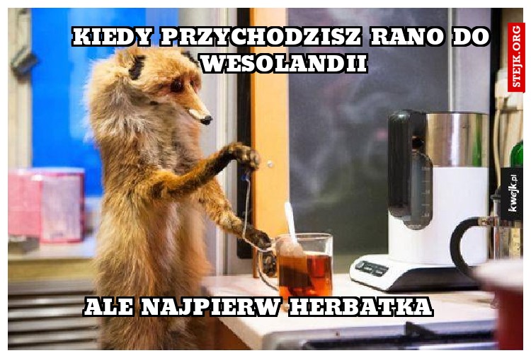 KIEDY PRZYCHODZISZ RANO DO WESOLANDII