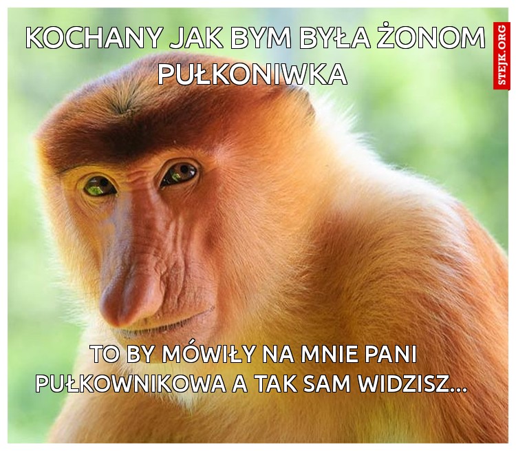 kochany jak bym była żonom pułkoniwka 