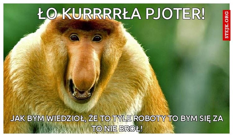 Ło kurrrrła Pjoter!