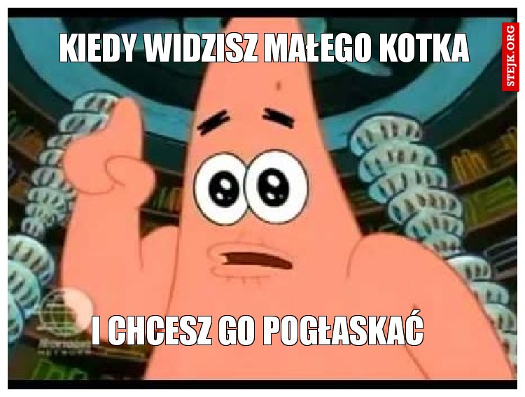 kiedy widzisz małego kotka