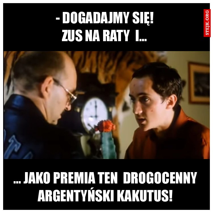 - Dogadajmy się! Zus na raty  i...