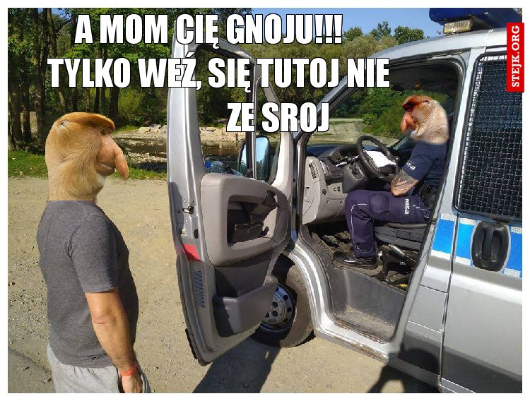 a mom cię gnoju!!!                       tylko weź, się tutoj nie                    ze sroj