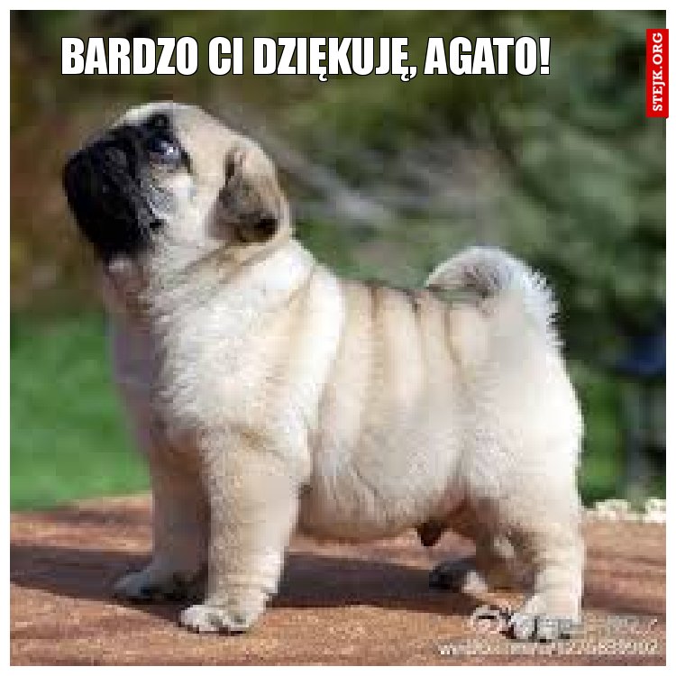 Bardzo Ci dziękuję, Agato!