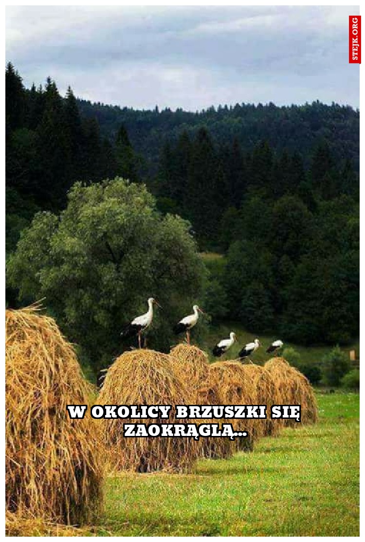 W okolicy brzuszki się zaokrąglą...