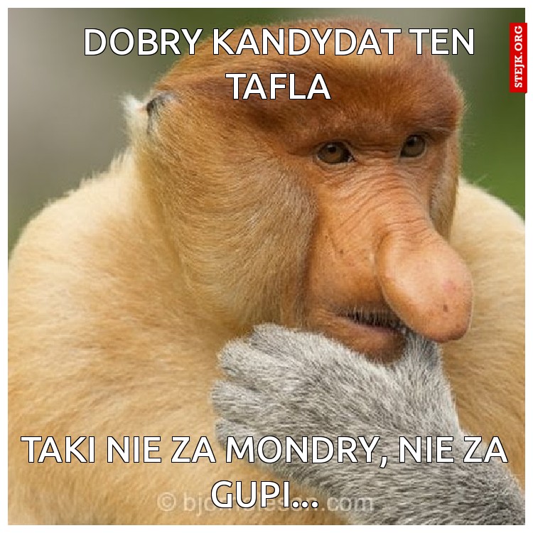 Taf