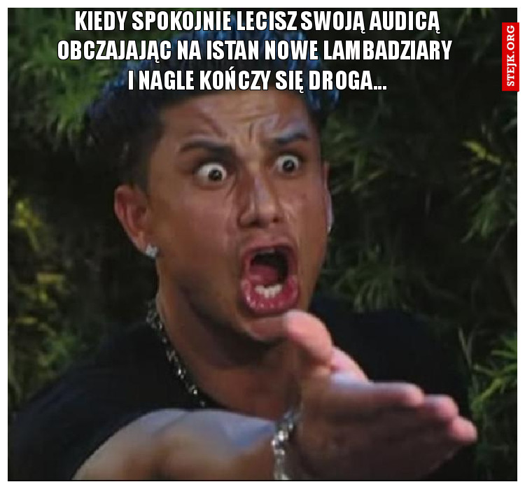 Kiedy spokojnie lecisz swoją audicą obczajając na istan nowe lambadziary  i nagle kończy się droga...