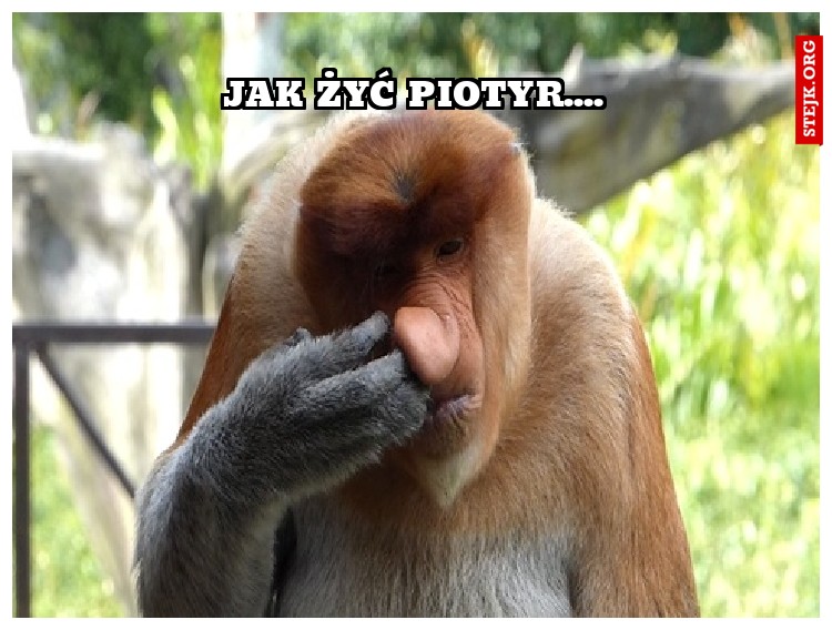 Jak żyć Piotyr....