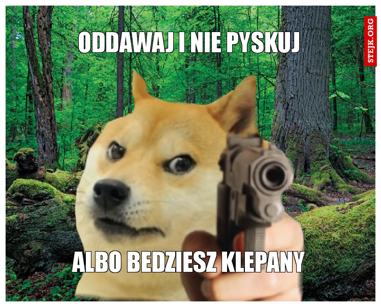 oddawaj i nie pyskuj