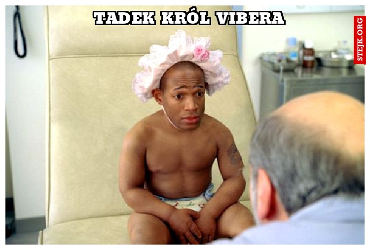 TADEK KRÓL VIBERA