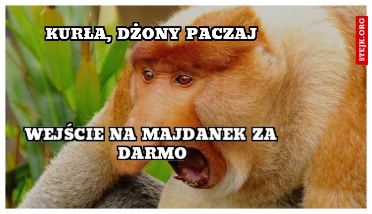 Kurła, Dżony paczaj