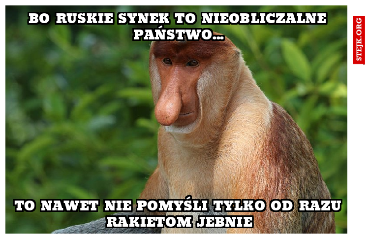 bo ruskie synek to nieobliczalne państwo...