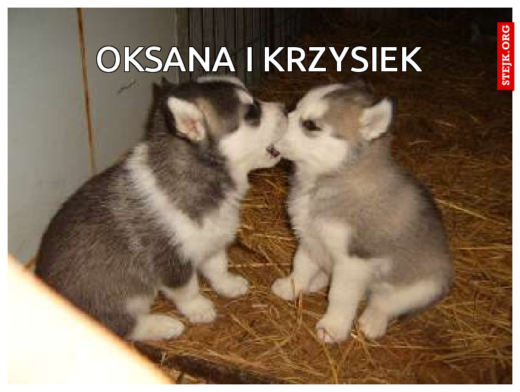 Oksana i Krzysiek