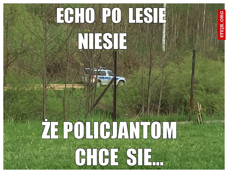 echo  po  lesie