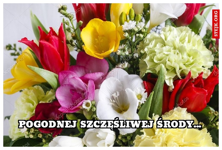 pogodnej szczęśliwej środy...