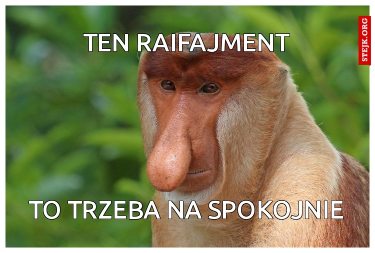 TEN RAIFAJMENT