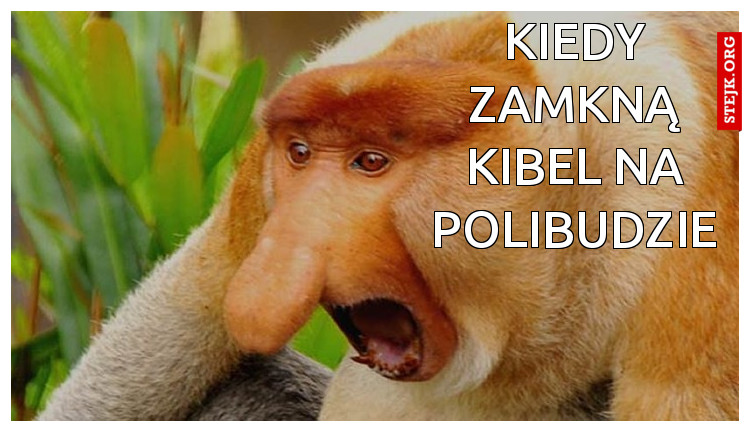 Kiedy zamkną kibel na polibudzie