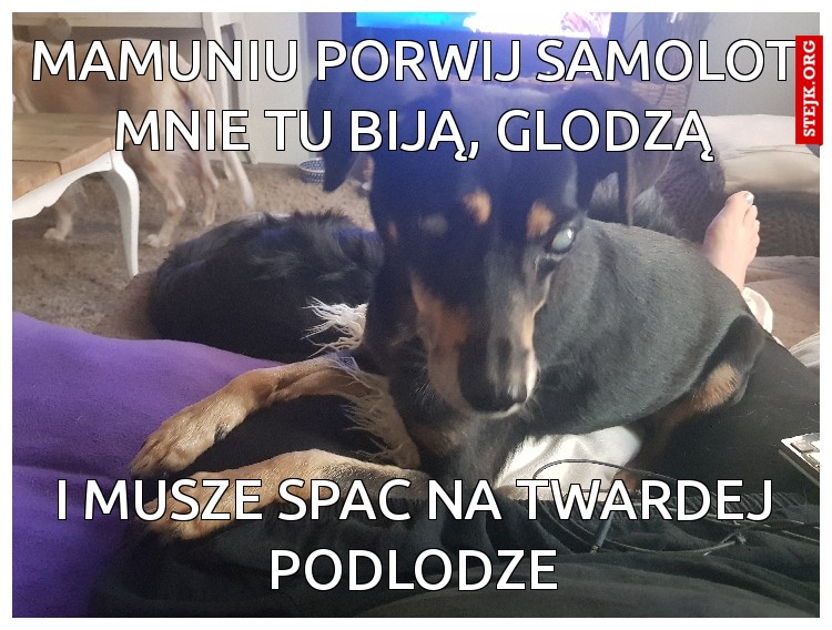 Mamuniu porwij samolot mnie tu biją, glodzą