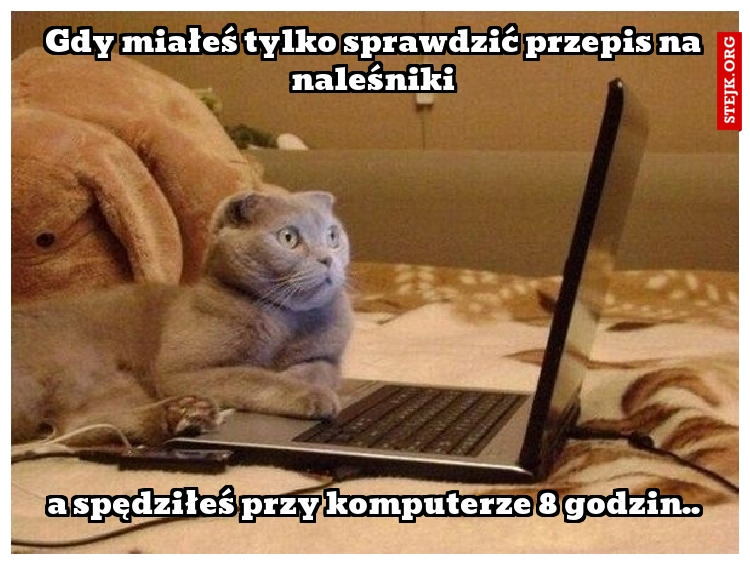 Gdy miałeś tylko sprawdzić przepis na naleśniki