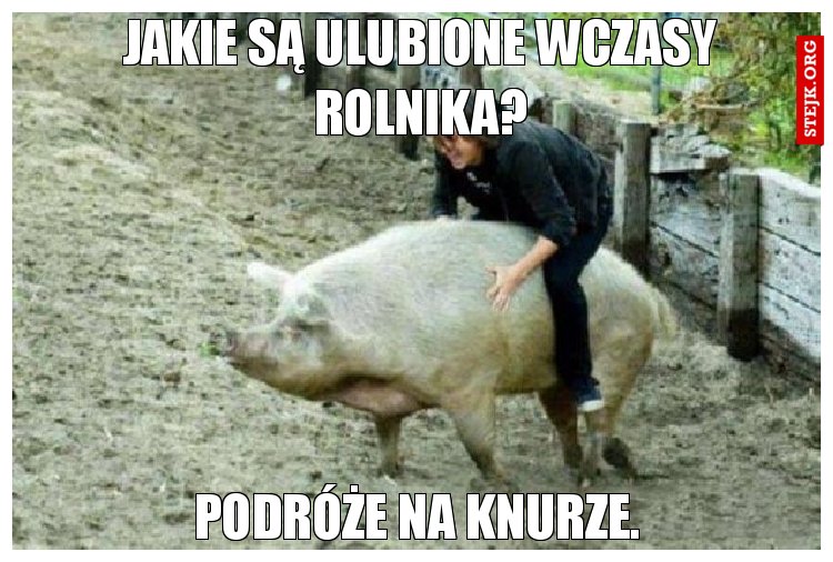 Jakie są ulubione wczasy rolnika?