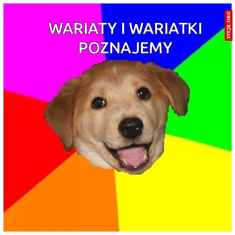 Wariaty i wariatki poznajemy