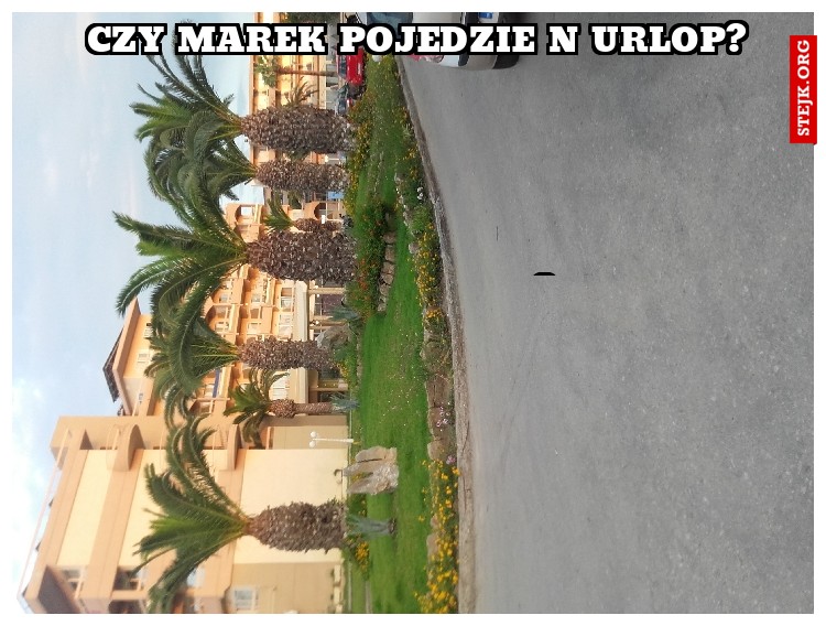 Czy Marek pojedzie n urlop? 