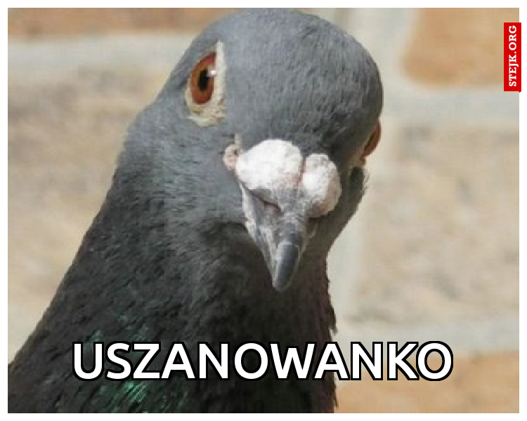 uszanowanko