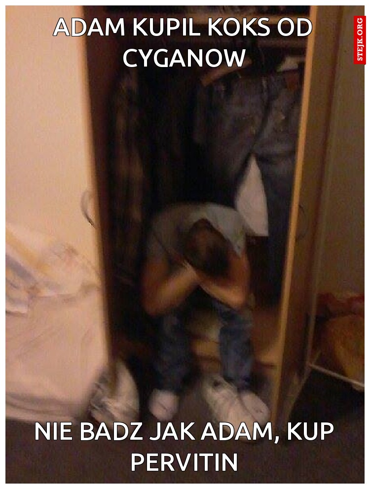 adam kupil koks od cyganow