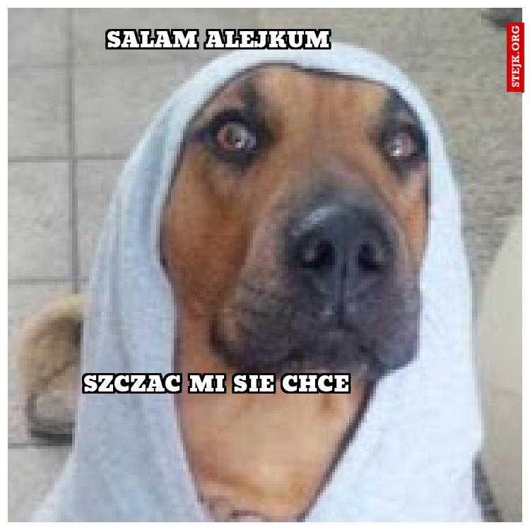 salam alejkum 