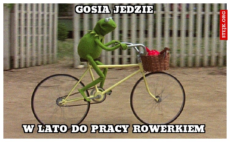 Gosia jedzie