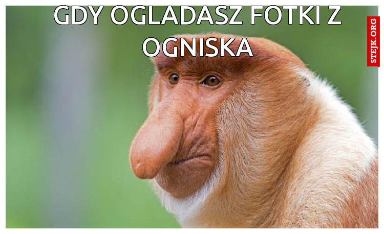 Gdy ogladasz fotki z ogniska