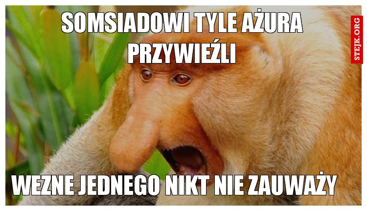 Somsiadowi tyle ażura przywieźli