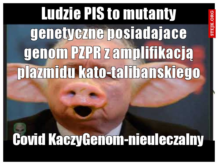 Ludzie PIS posiadają to mutanty genetyczne posiadajace genom PZPR z amplifikacją plazmidu kato-talibanskiego.  Skutek MRNA zawartego w koszrnej wołowinie. .Większość genomów organizmów eukariotycznych PIS  składa się w przeważającej części z niekodujących sekwencji DNA aktywisty PZPR polaczonej syntezą z białkiem fukjconariusza kato-talibanu