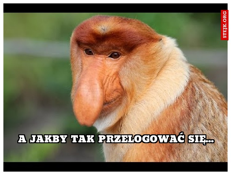 A jakby tak Przelogować się...