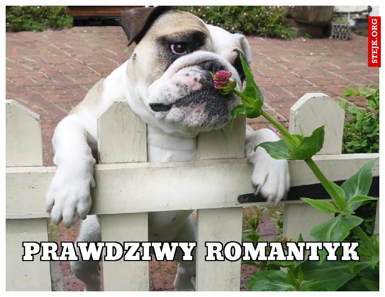 Prawdziwy romantyk