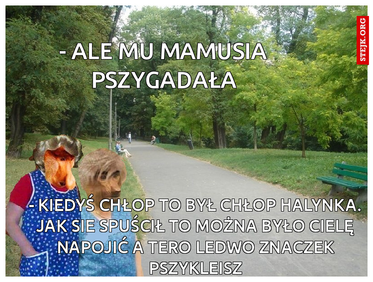 - ale mu mamusia pszygadała