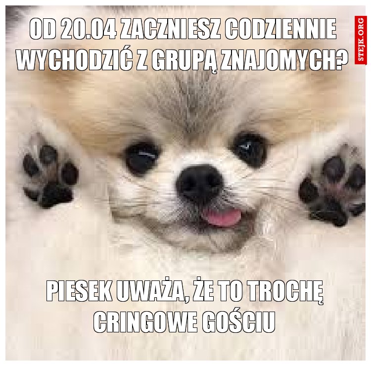 Od 20.04 zaczniesz codziennie wychodzić z grupą znajomych?