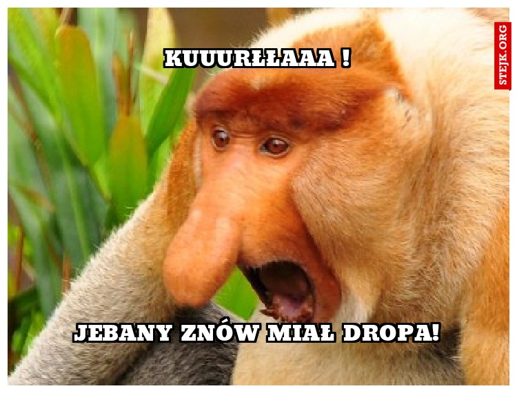 KUUURŁŁAAA !