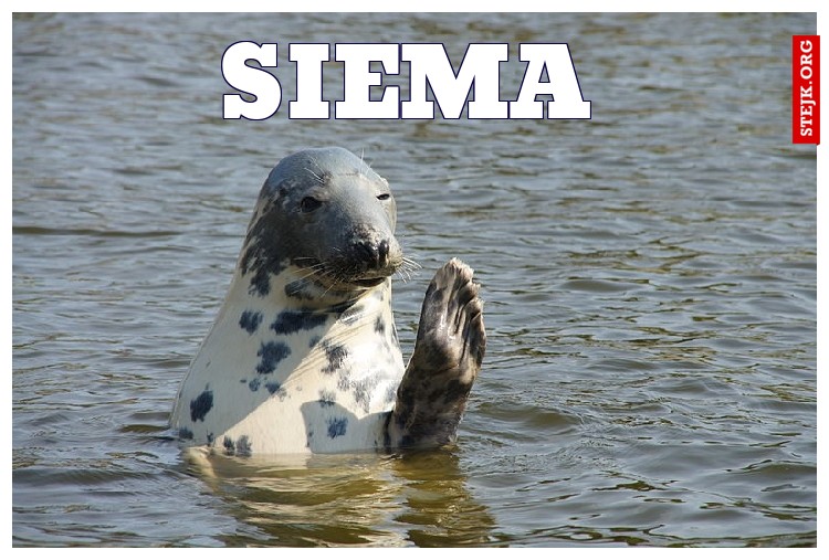 SIEMA 