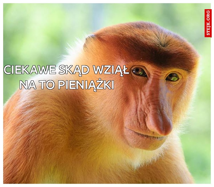 CIEKAWE SKĄD WZIĄŁ NA TO PIENIĄŻKI