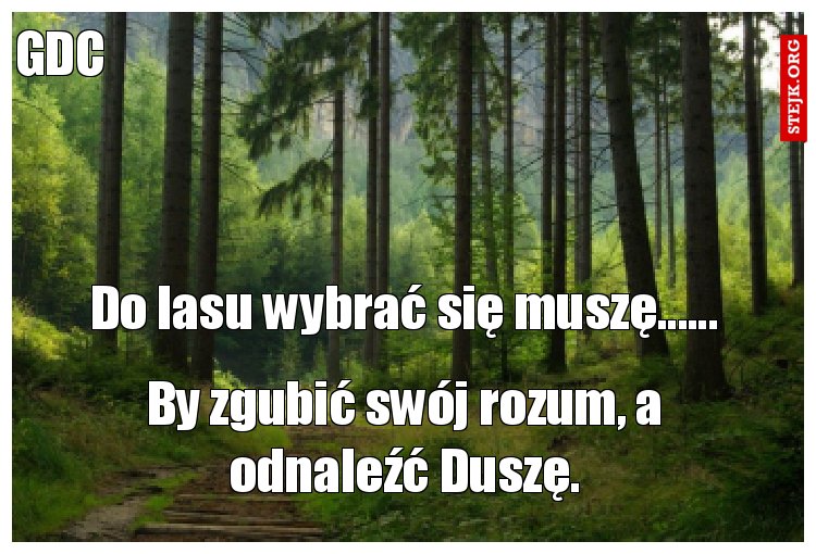 Do lasu wybrać się muszę......