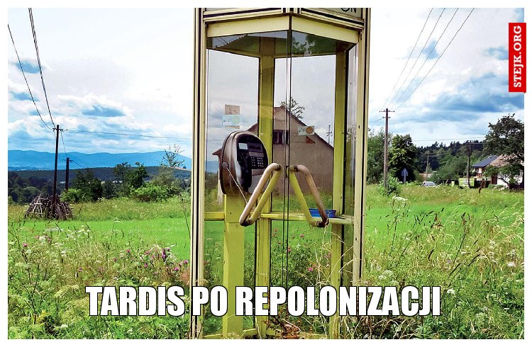 tardis po repolonizacji